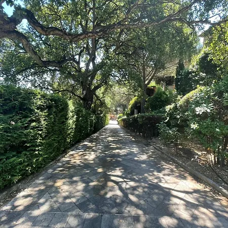 Darius Belle Et Grande Villa, Piscine, Clim, Vue Sur Vila Cavalaire-sur-Mer